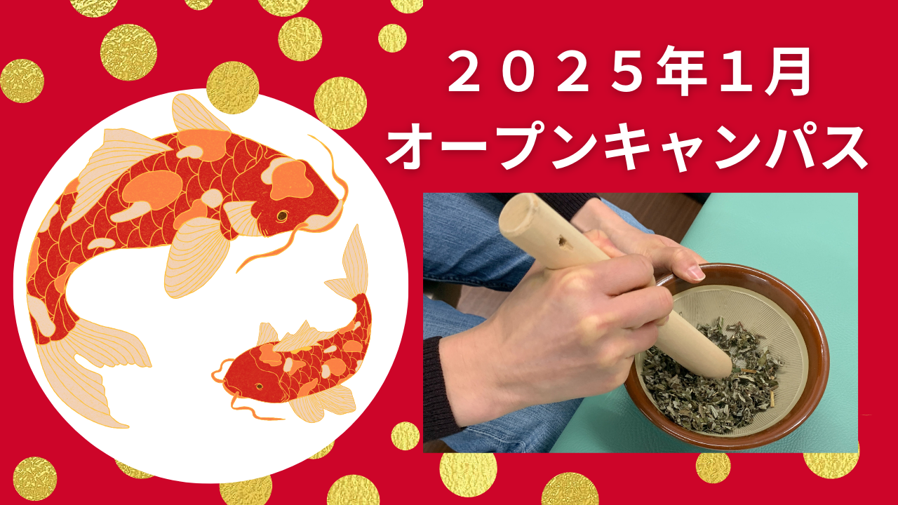 １月 オープンキャンパス『手作りお灸で温まろう♪』